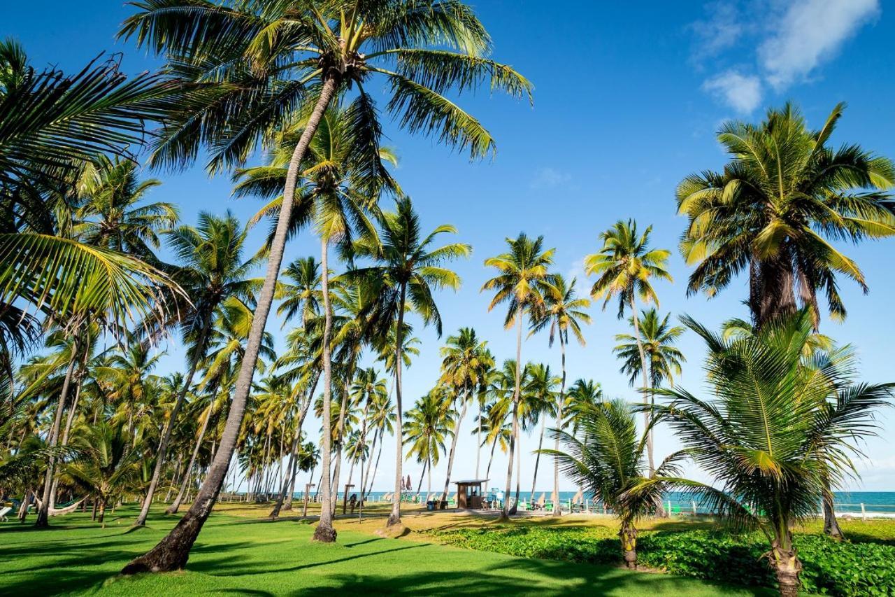 Paraiso Na Terra - Carneiros Beach Resort Tamandaré Zewnętrze zdjęcie