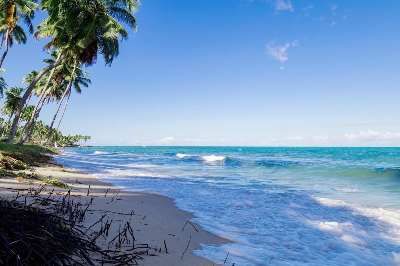 Paraiso Na Terra - Carneiros Beach Resort Tamandaré Pokój zdjęcie